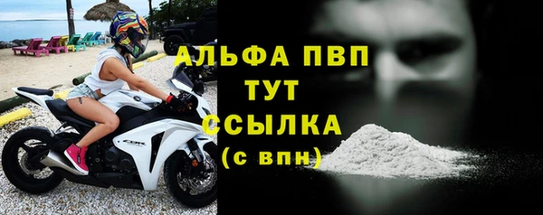 СК Абинск