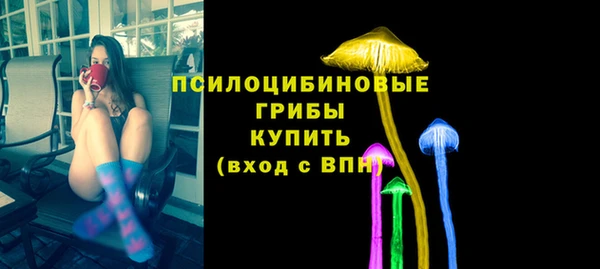 МДПВ Алексеевка
