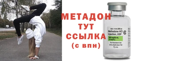 сатива Корсаков