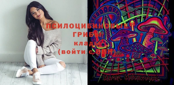 СК Абинск