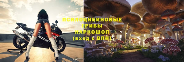 СК Абинск