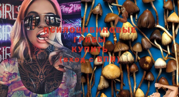 СК Абинск